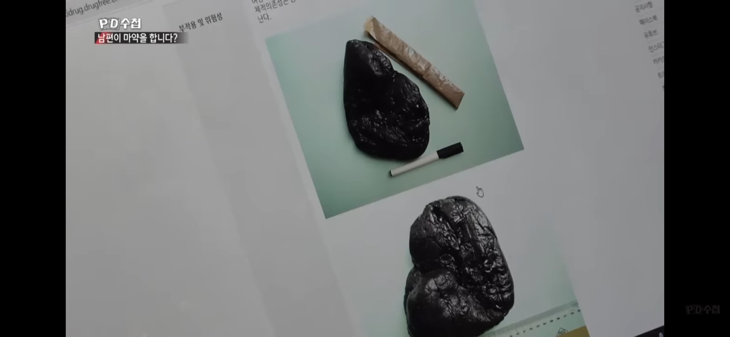 강미정_아나운서_PD수첩_남편_마약_제보_역고소_이정섭검사_사건정리_사진출처_PD수첩_방송캡쳐