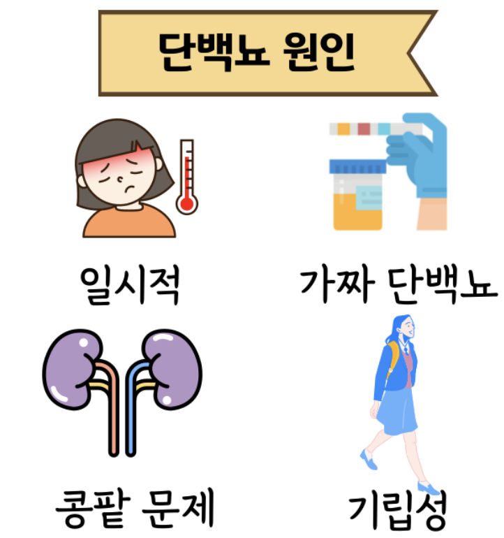 단백뇨의 원인