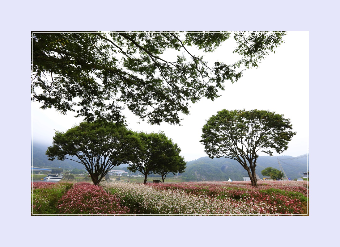 도담행복마을 이미지