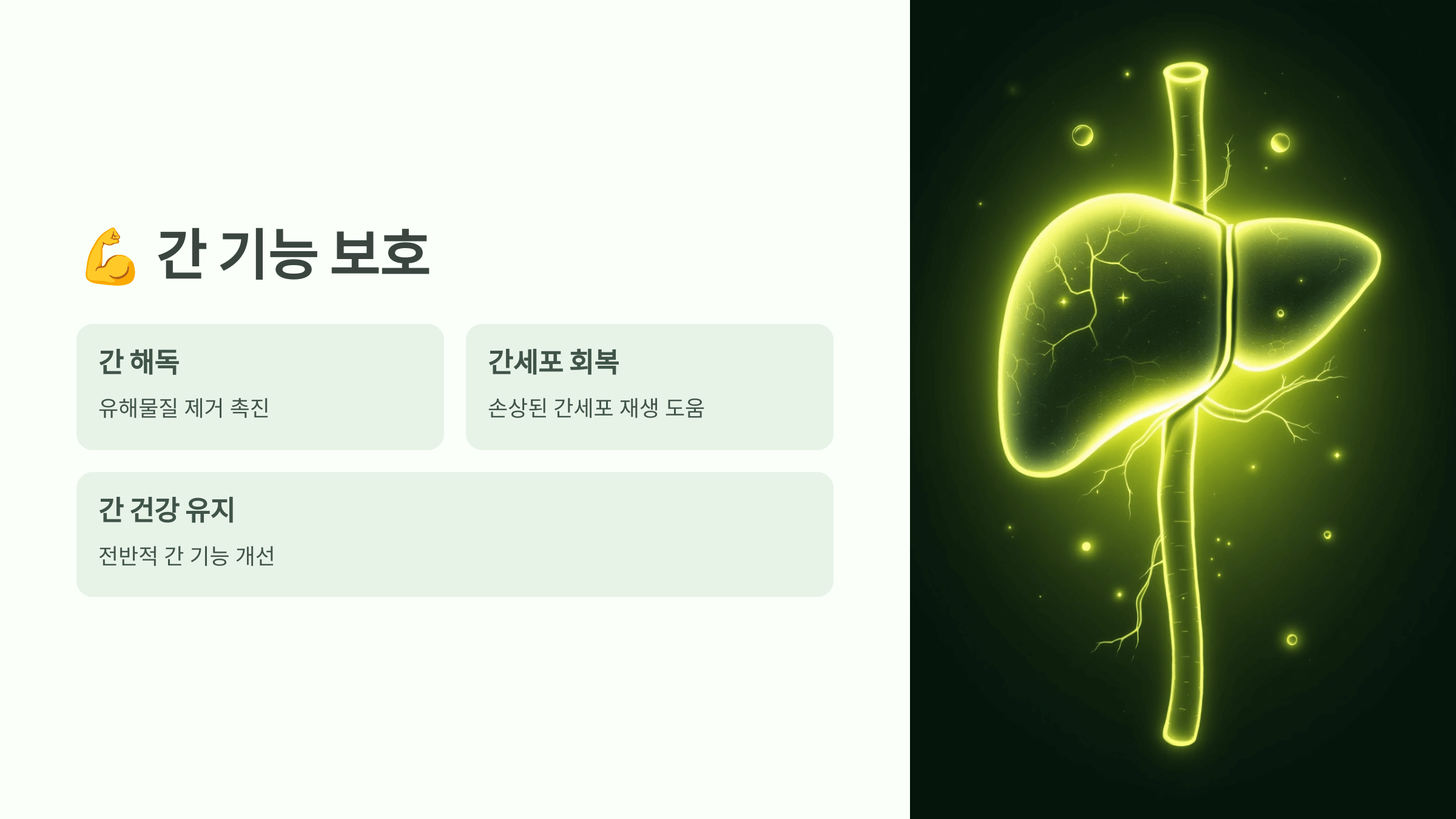 오가피순 사진입니다.