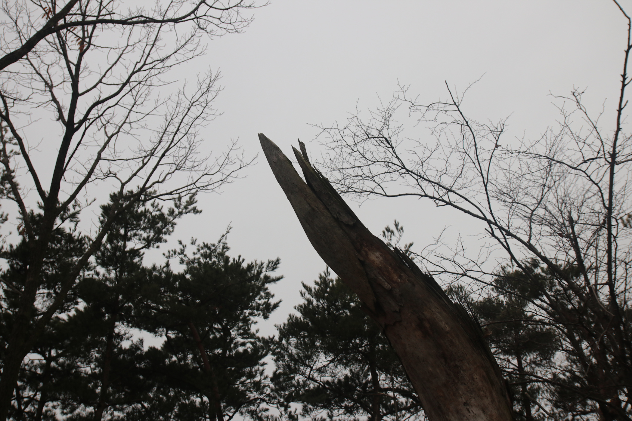 경남 의령군 국사봉 05 27