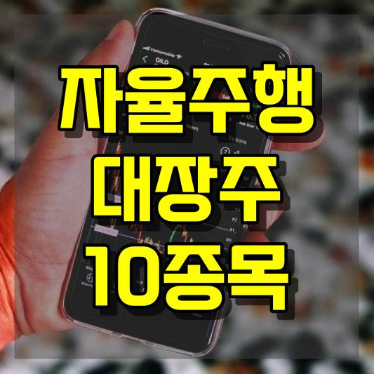 자율주행 대장주 10종목