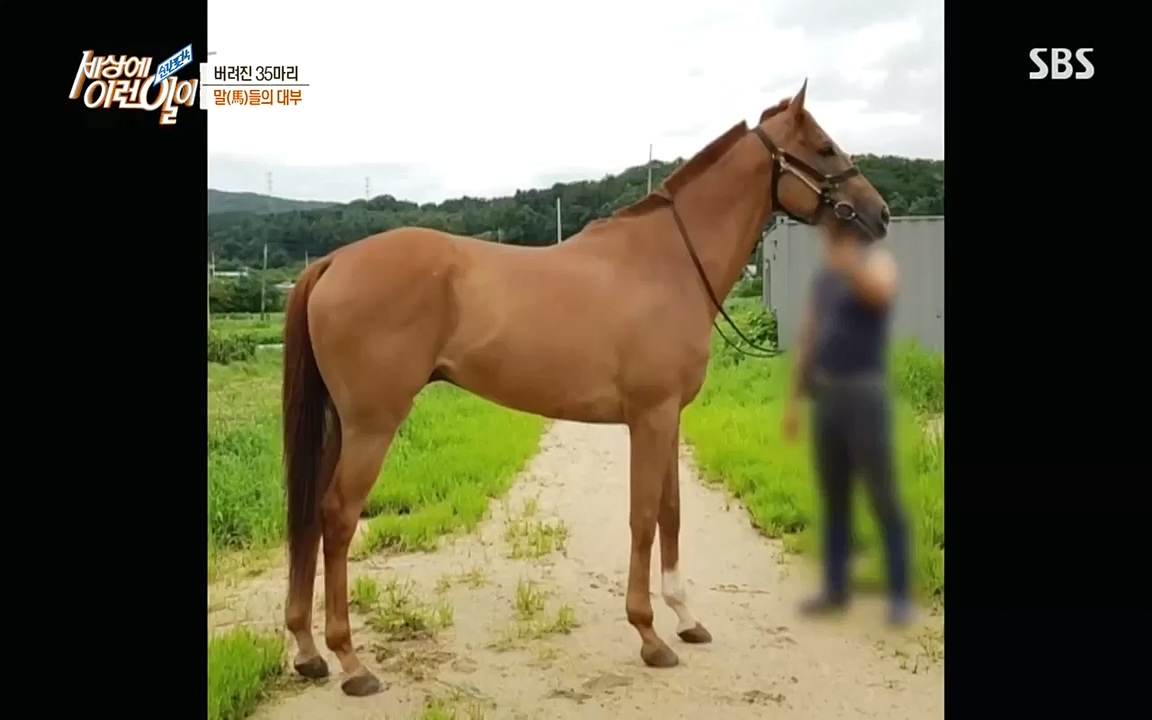 순간포착 세상에 이런일이.E1198.220920.H265p-BULDU.mp4_20220921_201957.225.jpg