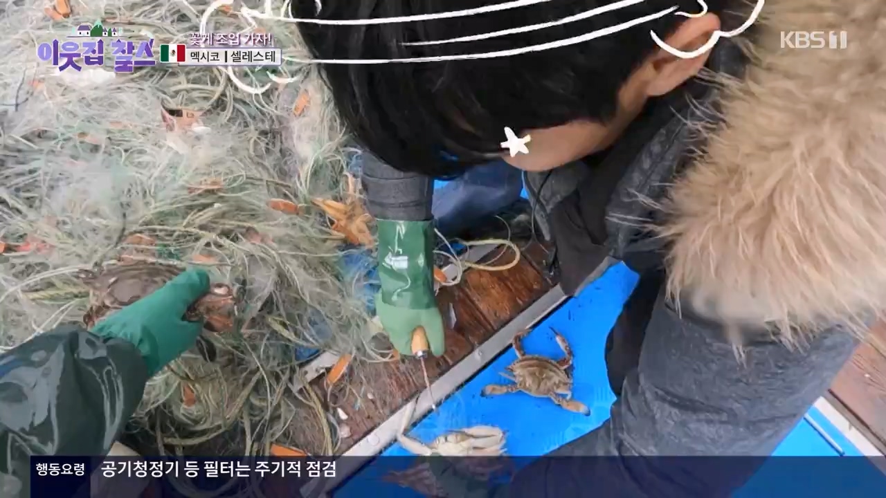 이웃집 찰스.E422.240131p-NEXT.mp4_20240131_194035.468.jpg