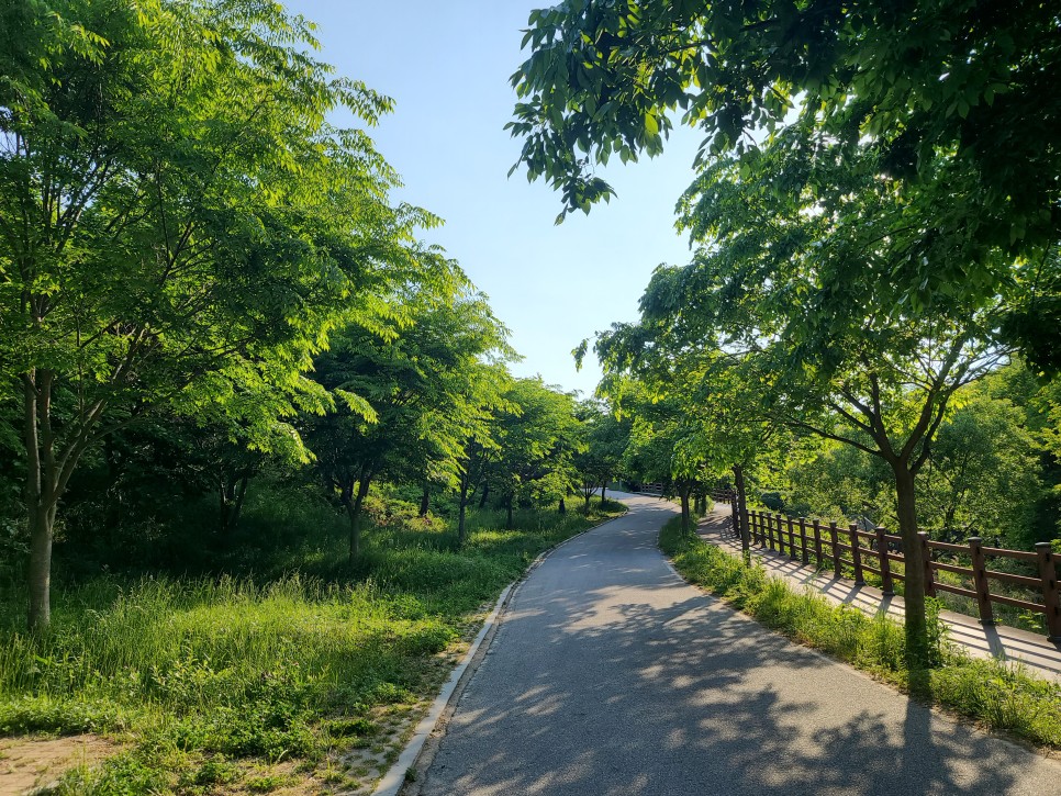 흑약 100대 지리산 바라봉 최단 등산코스 13