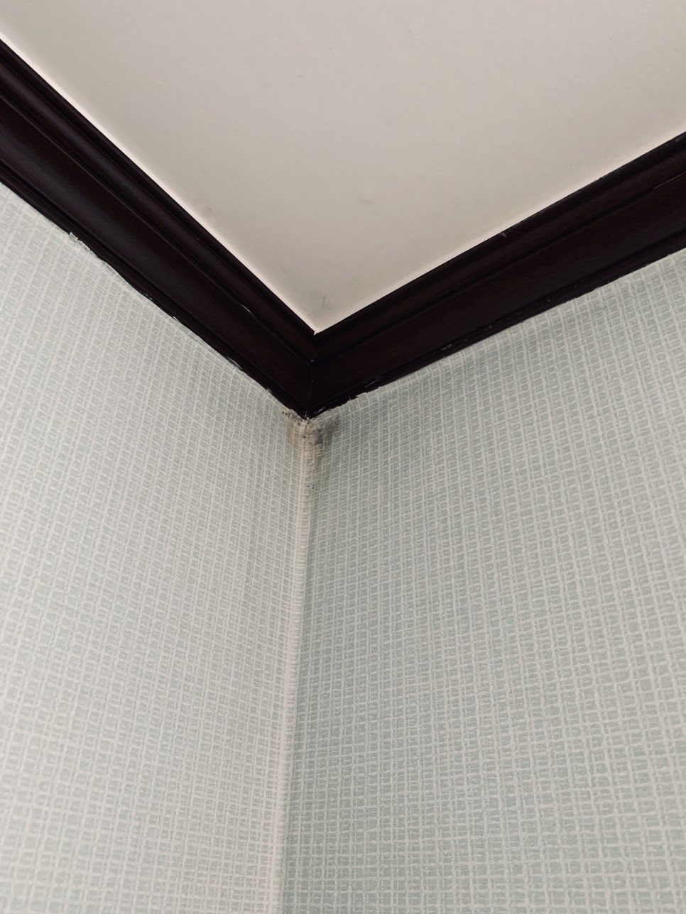 벽지곰팡이 제거 18