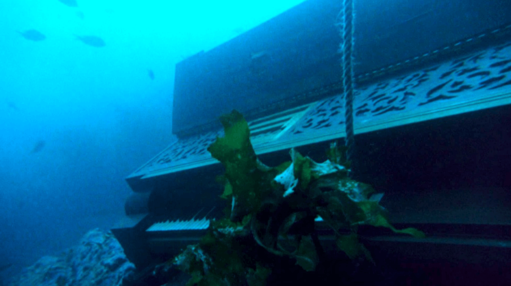 물속에-완전히-가라앉은-피아노