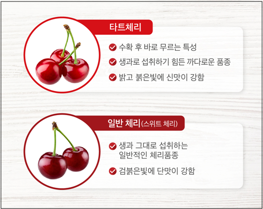 타트체리 일반체리 비교
