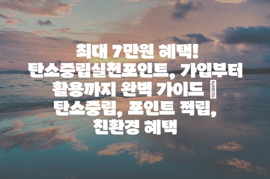 샘플 (81)