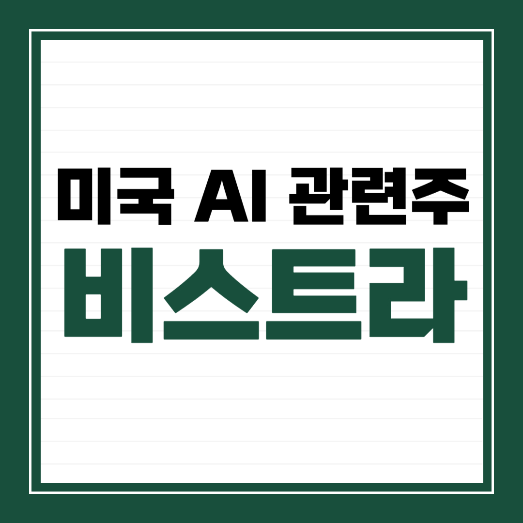 미국 AI 관련주 비스트라