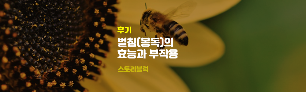  벌침 봉침의 효능 / 봉침 맞고 가려움 부작용 이유 해결방법