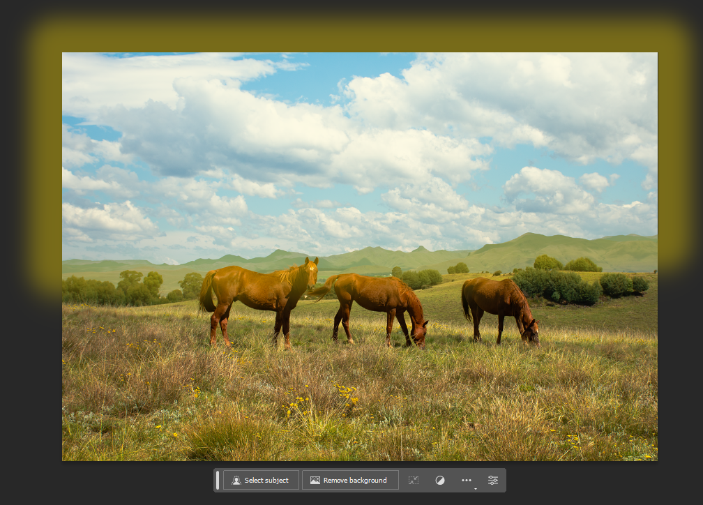 Object Finder 투명도 조절