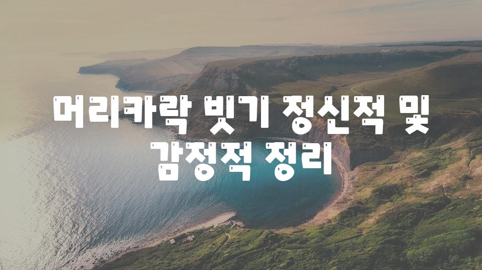 머리카락 빗기 정신적 및 감정적 정리