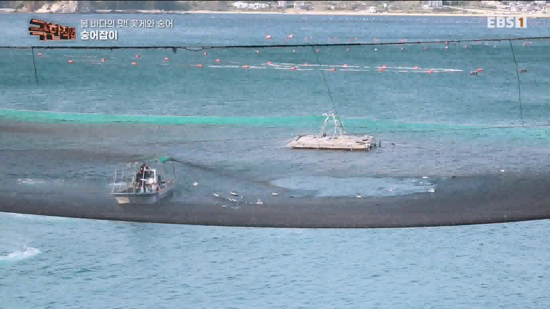 극한 직업 꽃게와 숭어 1080p.mp4_20230530_194650.819.jpg