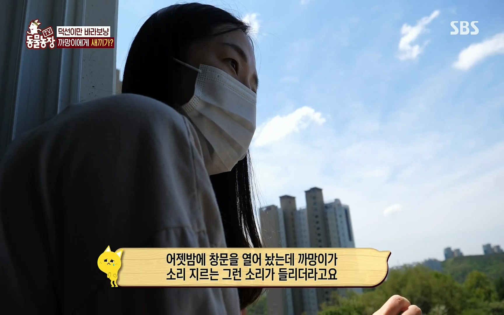 TV 동물농장.E1073.220612p.H264-F1RST.mp4_20220612_181350.212.jpg