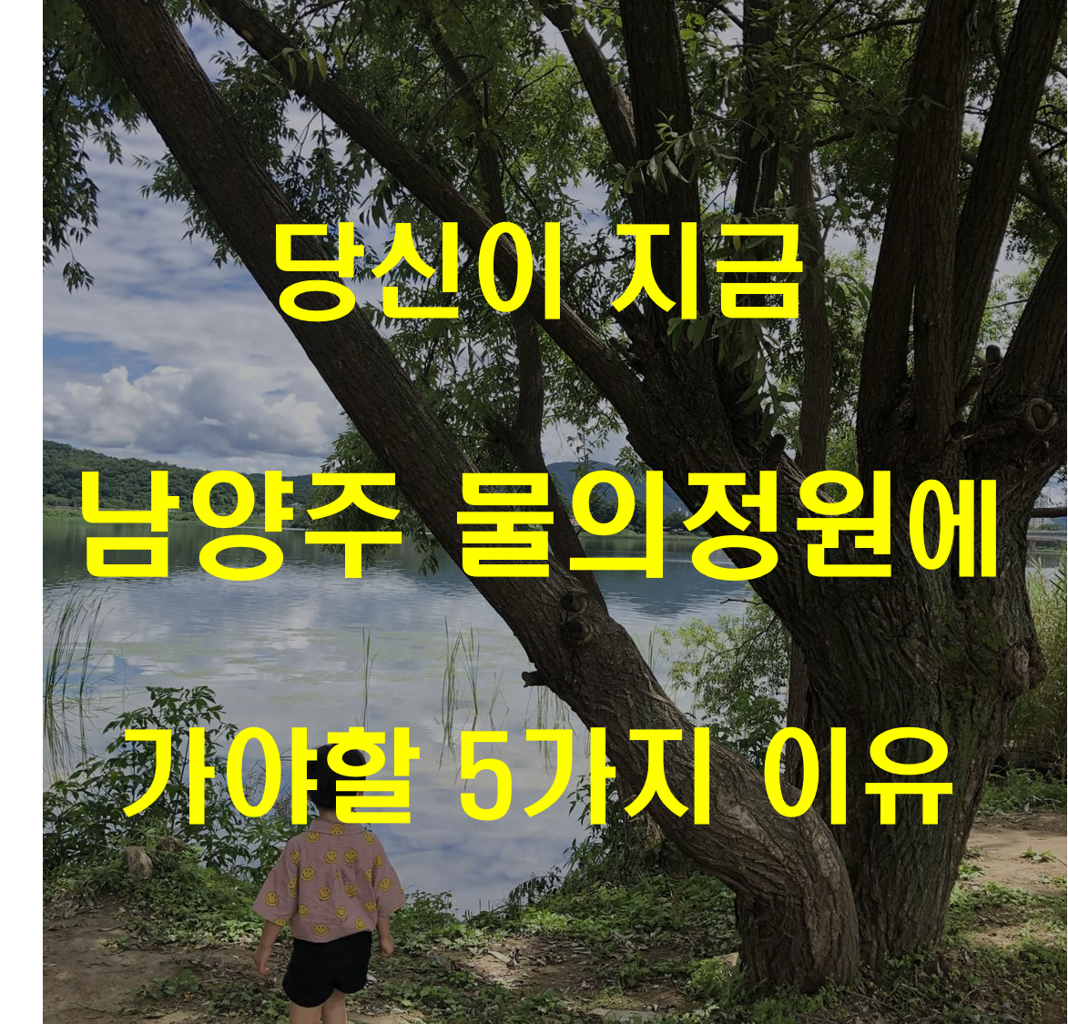  당신이 지금 남양주 물의정원에 가야할 5가지 이유