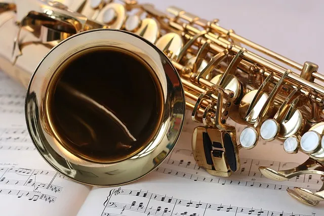 홍화황색소 정의 사용목적 식품첨가물 안전성_7