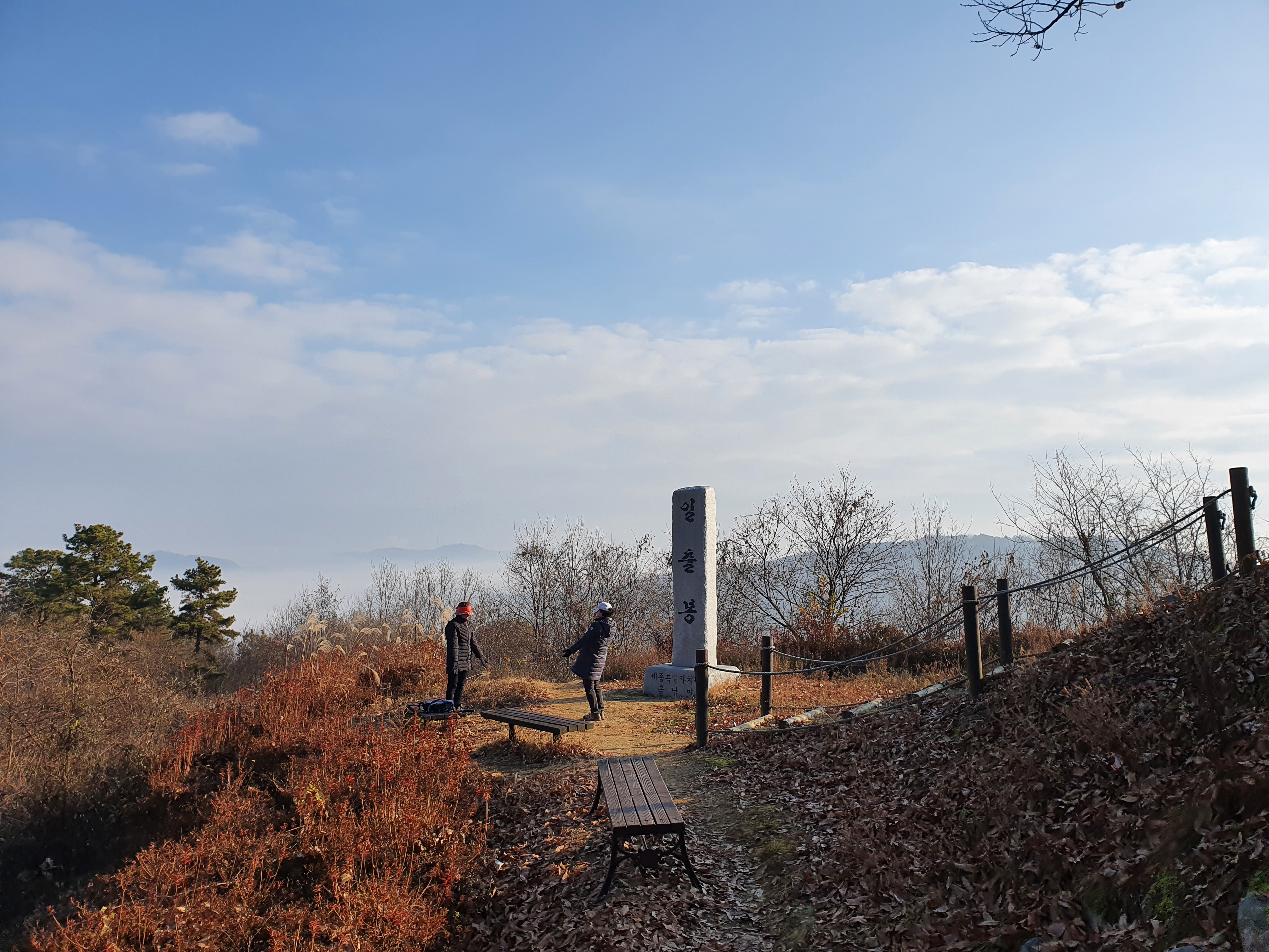  세종 비학산~바람재~금병산 누리길 등산코스