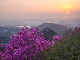 천주산 진달래축제 등산코스 맛집_9