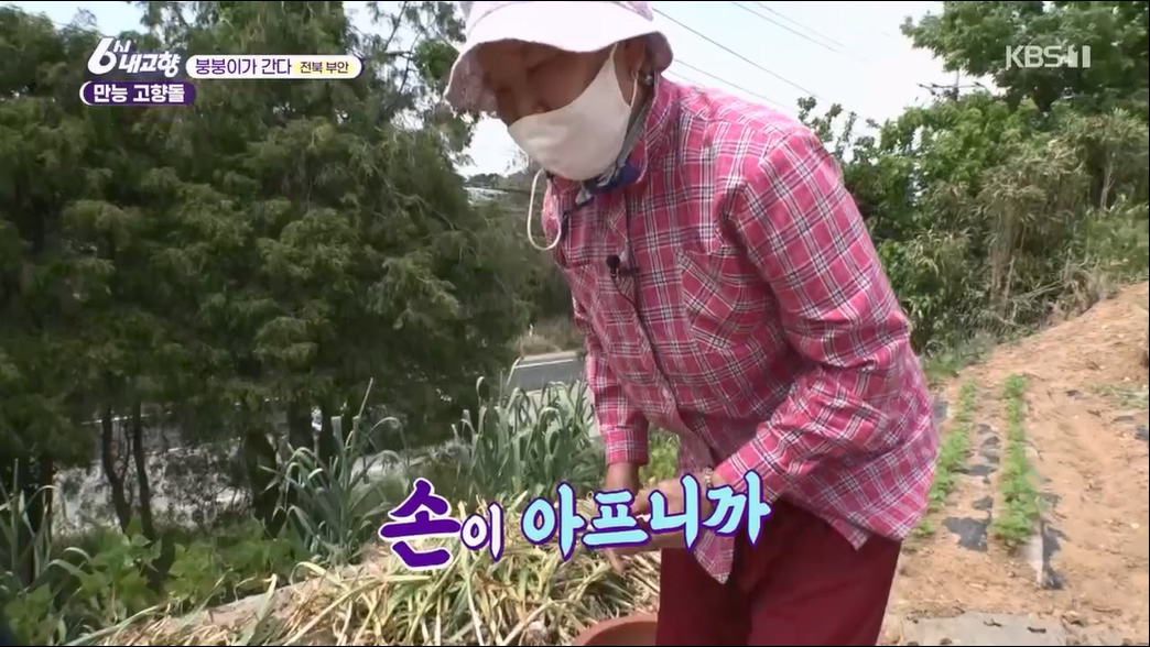6시 내고향.E7806.230613p.H264-F1RST.mp4_20230614_205849.443.jpg