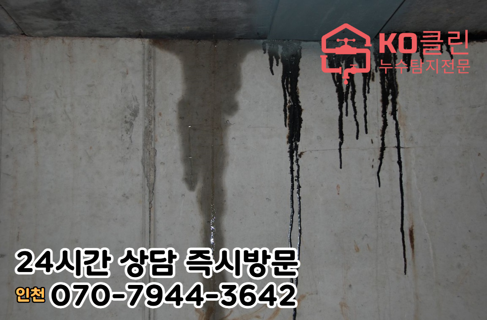 금곡동 누수공사 전문가2