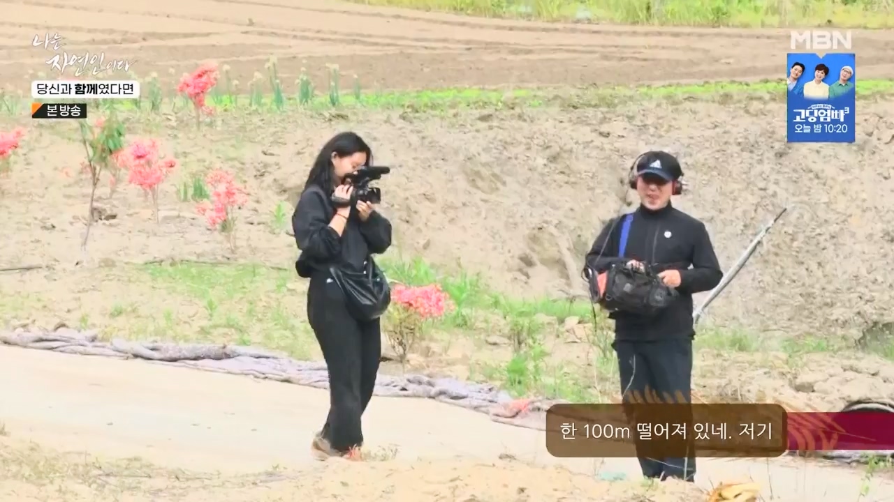 나는 자연인이다.E556.230532p-NEXT.mp4_20230601_201506.274.jpg