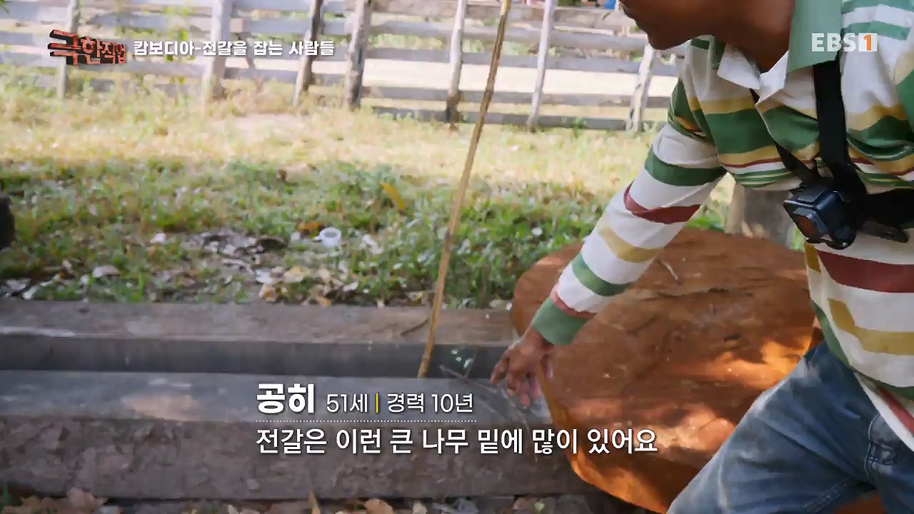 TV - 전 국민의 평생학교 EBS캄보디아 - 독충을 잡는 사람들.mp4_20230501_173354.245.jpg