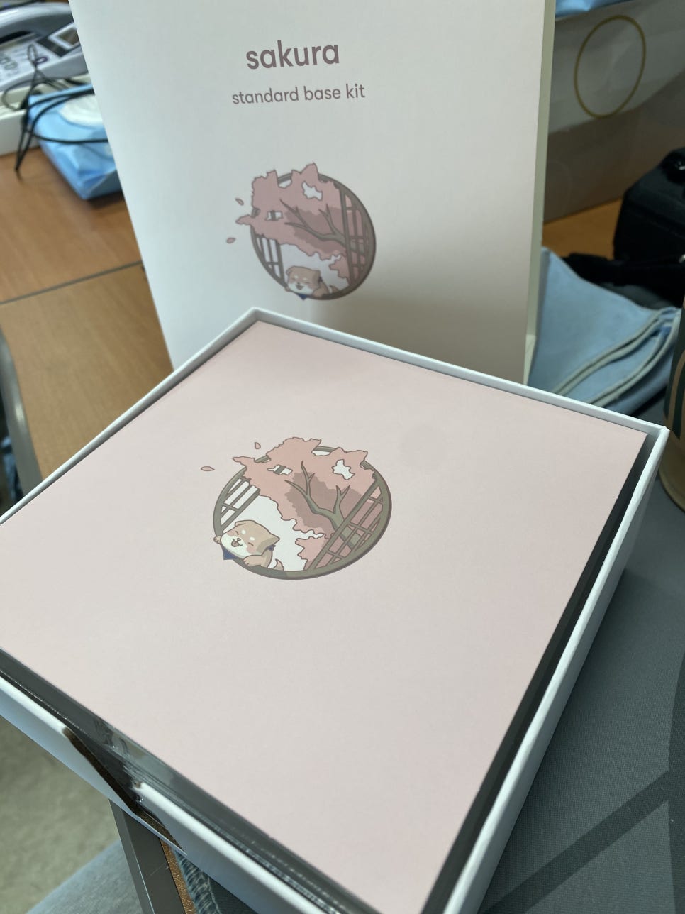 사쿠라(SAKURA) 이미지