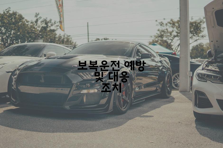 보복운전 예방 및 대응 조치
