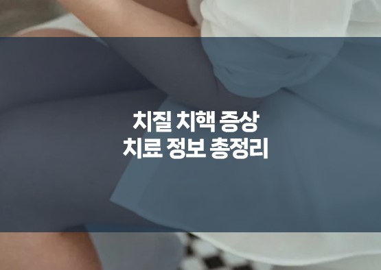 치질 치핵 증상 치료 정보 총정리