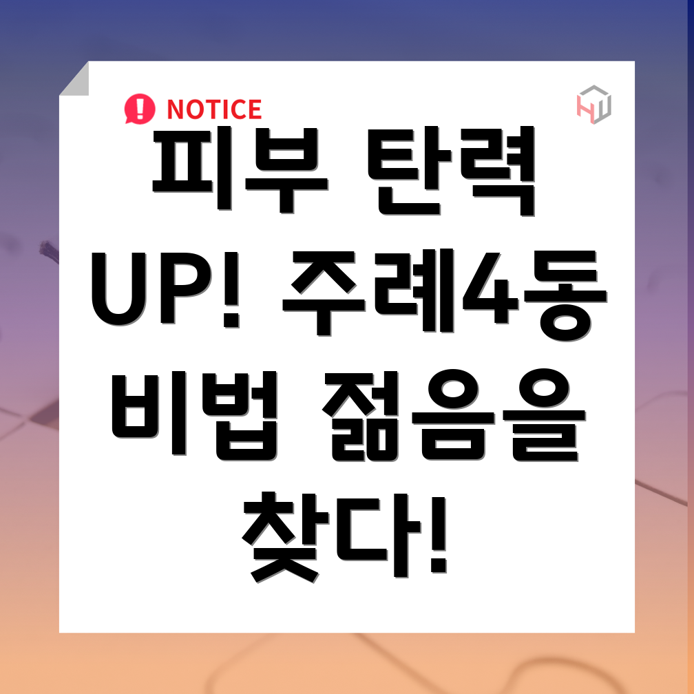 피부 탄력 개선