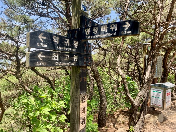 용봉산-용바위