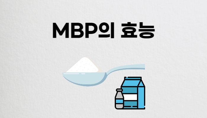 MBP의효능썸네일