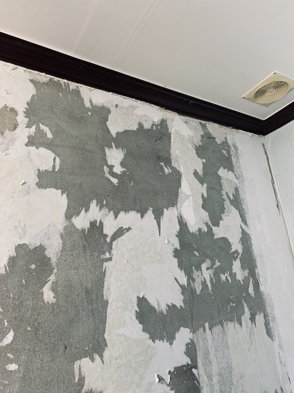 벽지곰팡이 제거 11