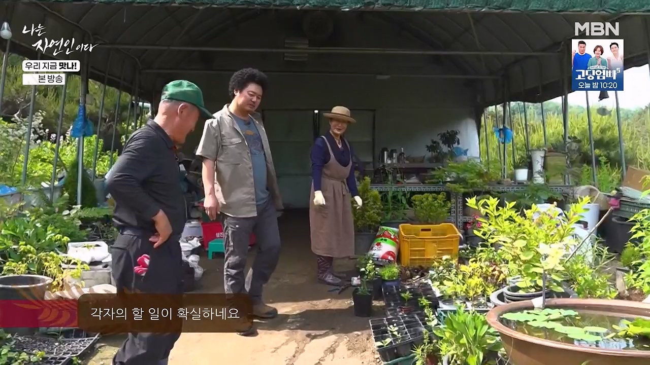 나는 자연인이다.E609.240613p-NEXT.mp4_20240613_195113.259.jpg