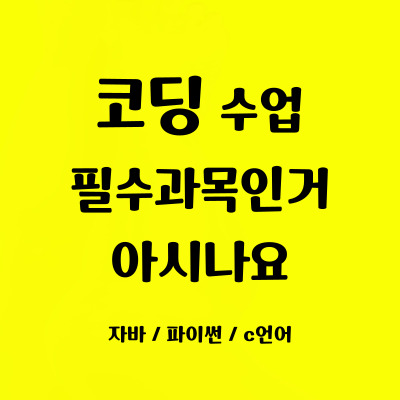  시흥대야 일대일 코딩학원 대야동 초등 중등 코딩과외 성인 자바스크립트 자격증 파이썬 방학특강 코딩