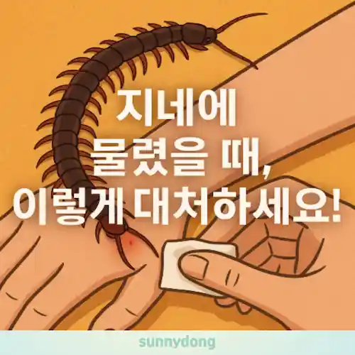 지네 물렸을때 응급처치 방법 및 실제 경험담 썸네일
