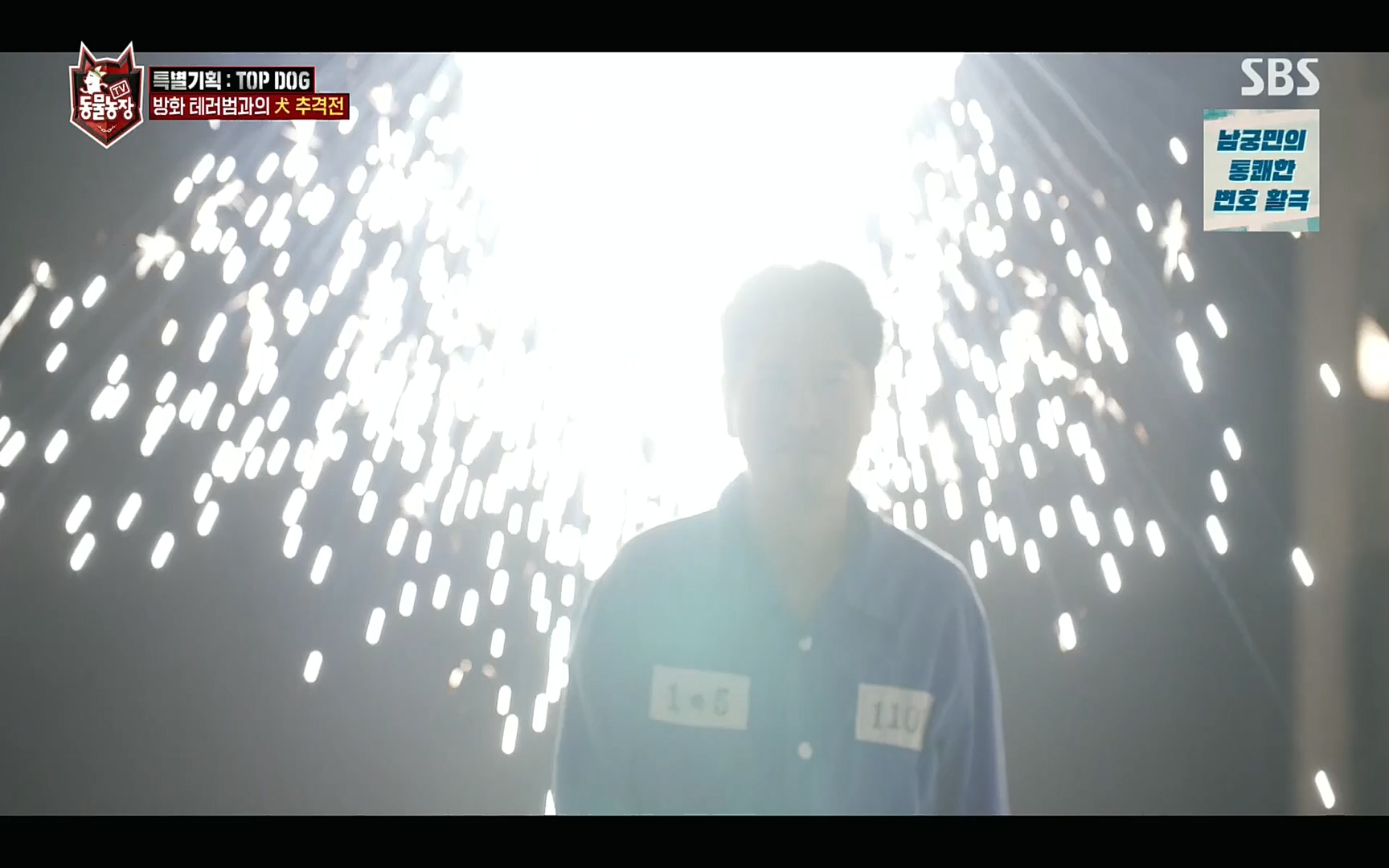 TV 동물농장.E1086.220911p.H264-F1RST.mp4_20220911_175423.640.jpg