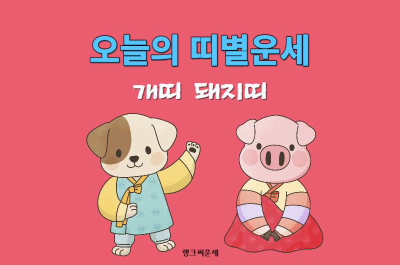 2023년 11월 11일 오늘의 띠별운세-개띠 돼지띠 운세 보기