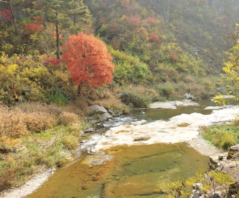 정선 가볼만한곳