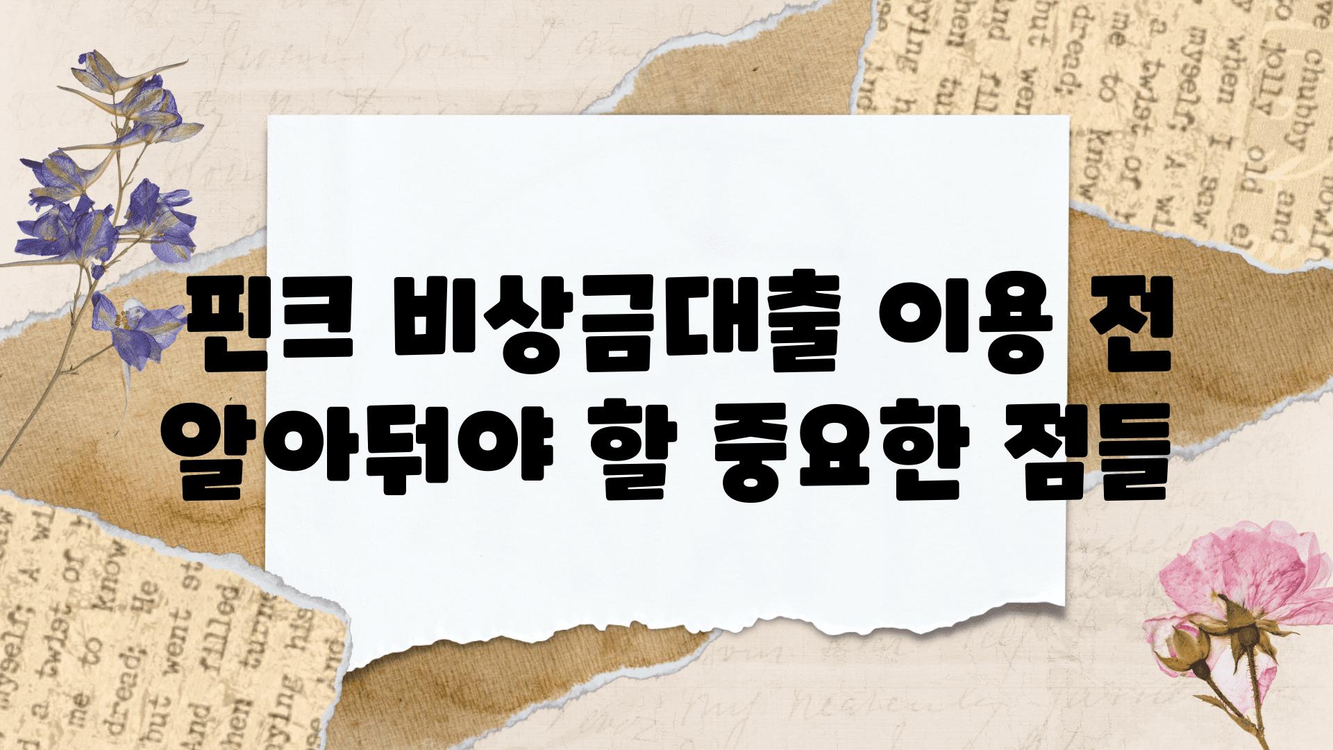  핀크 비상금대출 이용 전 알아둬야 할 중요한 점들