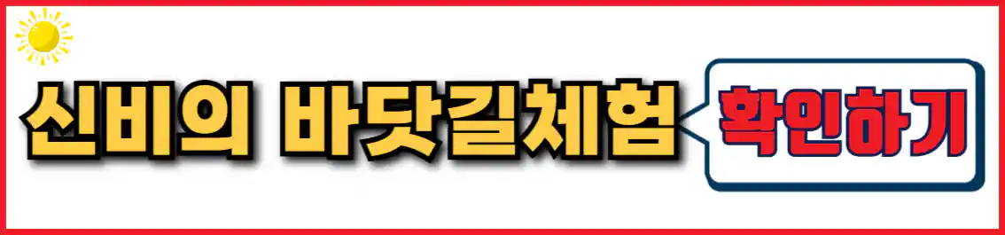 무창포항 쭈꾸미 축제 신비의 바닷길 체험