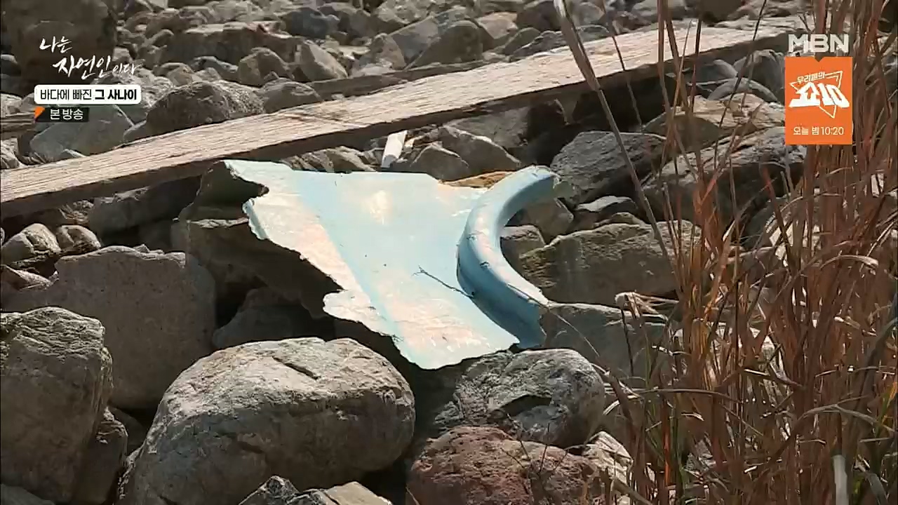 나는 자연인이다.E530.221131p.H264-F1RST.mp4_20221201_212038.616.jpg