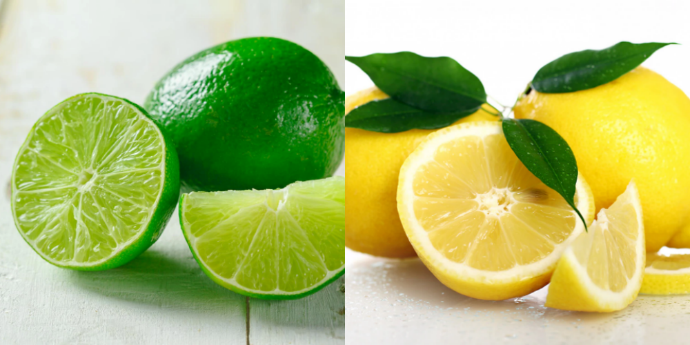 모기-여름철모기-가려움증-레몬-라임-진정효과