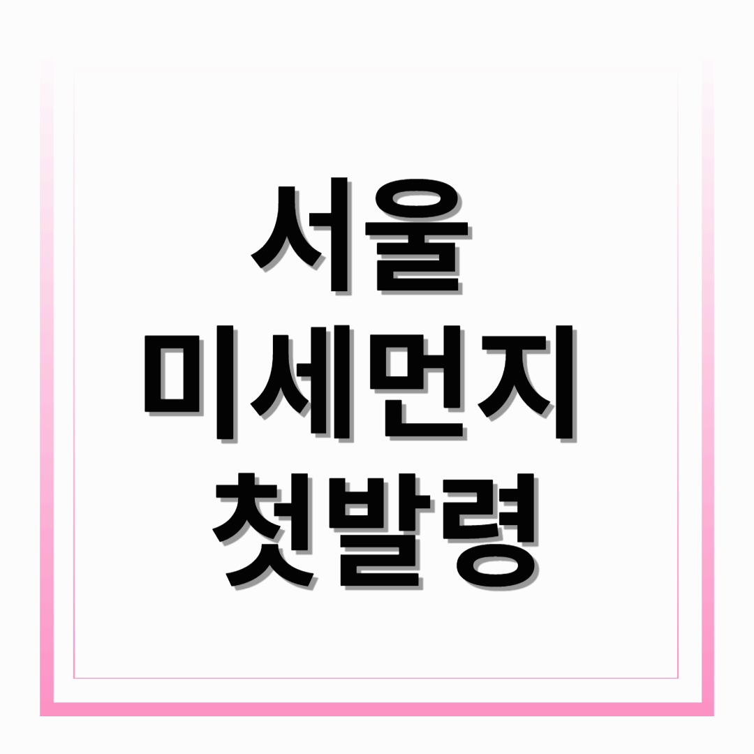 서울 미세먼지