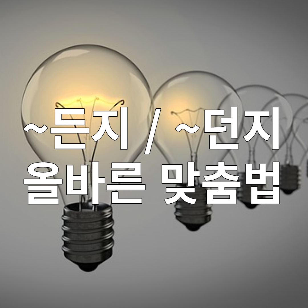 든 / 던 차이