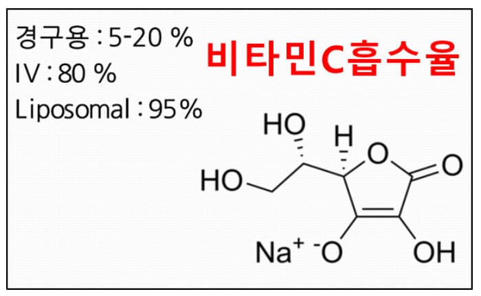 비타민C-흡수율과-리포소말복합체-흡수율