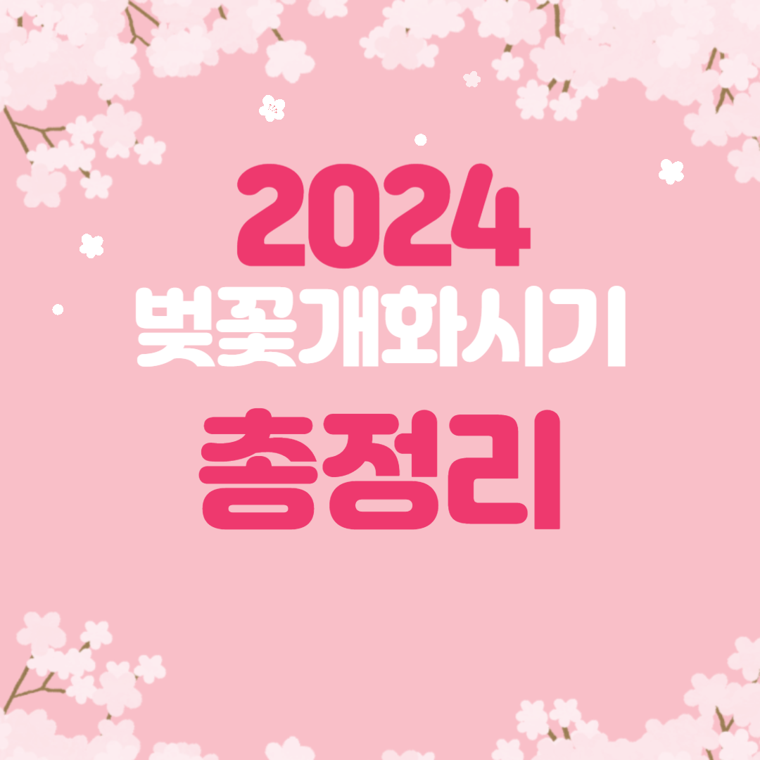 2024 벚꽃 개화시기 총정리