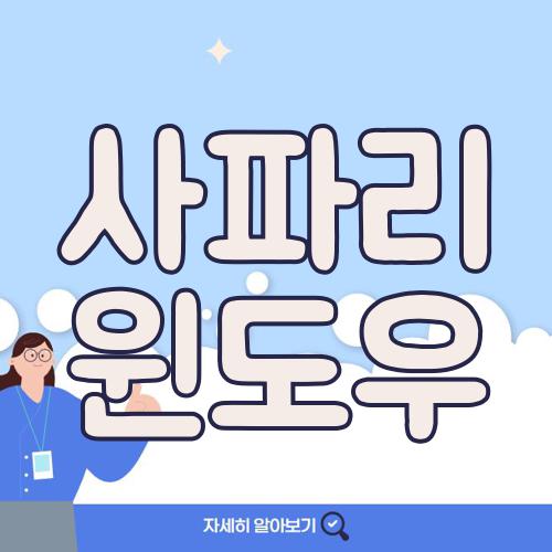 사파리 윈도우