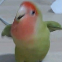 img.png